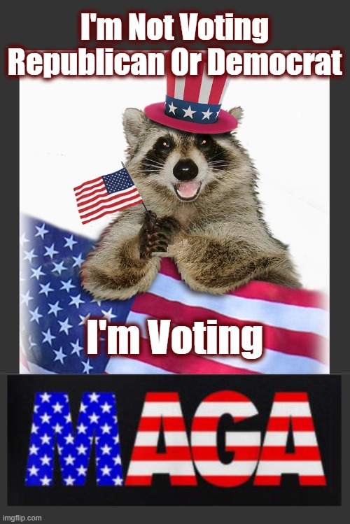 Make America Great Again! | I'm Not Voting Republican Or Democrat; I'm Voting | image tagged in maga,the great awakening,dnc,gop,politics,american politics | made w/ Imgflip meme maker