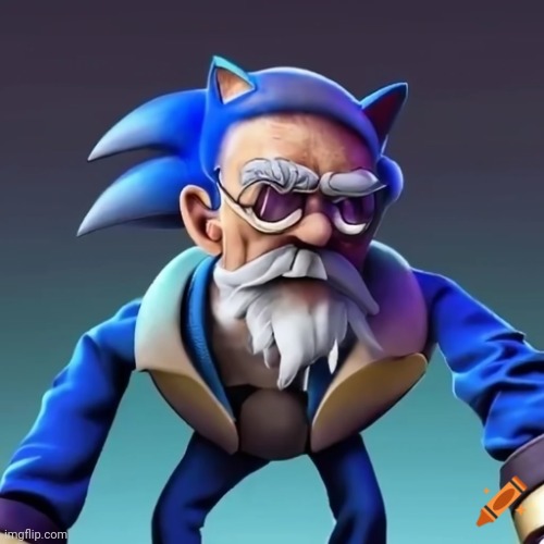 Sonic the 100 Year Oldhog | image tagged in sonic the 100 year oldhog | made w/ Imgflip meme maker