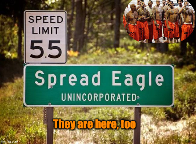 Spread Eagle, AL | They are here, too | image tagged in spread eagle al | made w/ Imgflip meme maker