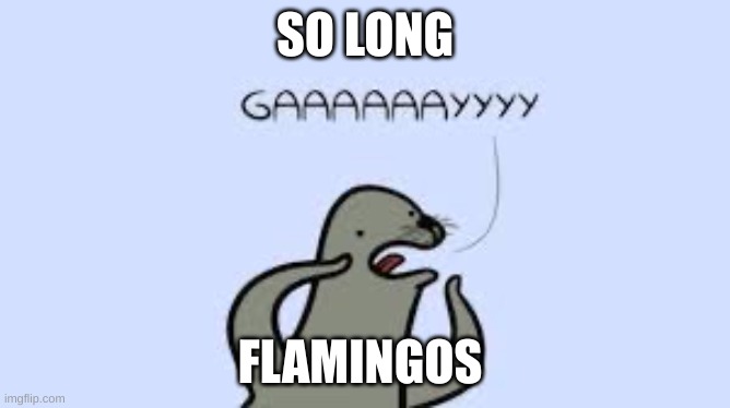 Homophobic seal | SO LONG; FLAMINGOS | image tagged in homophobic seal | made w/ Imgflip meme maker