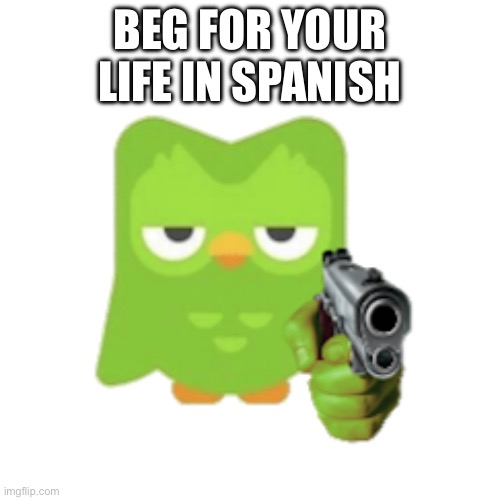 Duolingo | BEG FOR YOUR LIFE IN SPANISH | image tagged in duolingo | made w/ Imgflip meme maker