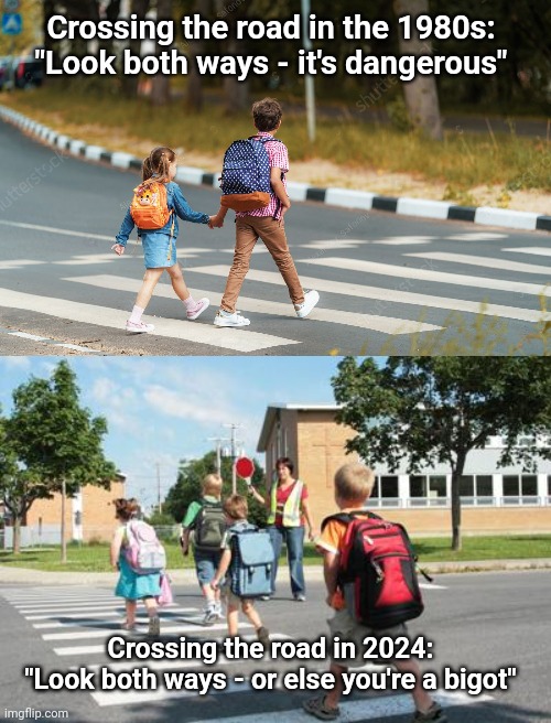 How I remember it vs how it is now | Crossing the road in the 1980s:
"Look both ways - it's dangerous"; Crossing the road in 2024:
"Look both ways - or else you're a bigot" | image tagged in animal crossing,street | made w/ Imgflip meme maker