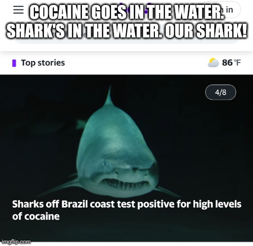 Cocaine Shark | COCAINE GOES IN THE WATER. SHARK'S IN THE WATER. OUR SHARK! | image tagged in shark,sharks,shark week | made w/ Imgflip meme maker