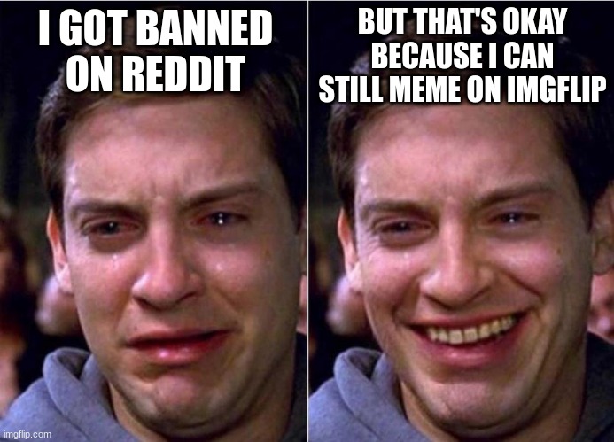 To make me feel better... | BUT THAT'S OKAY BECAUSE I CAN STILL MEME ON IMGFLIP; I GOT BANNED ON REDDIT | image tagged in peter parker sad cry happy cry,spiderman,reddit,imgflip,memes,peter parker | made w/ Imgflip meme maker