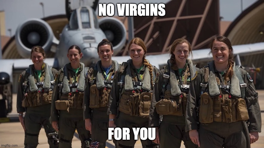 How to argue with those who whitewash the Iranian regime | NO VIRGINS; FOR YOU | image tagged in badass,empowerment,human rights,based | made w/ Imgflip meme maker