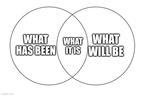 what it is | WHAT WILL BE; WHAT HAS BEEN; WHAT IT IS | image tagged in venn diagram | made w/ Imgflip meme maker