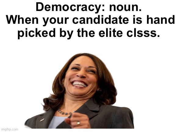 Zero vote democracy | Democracy: noun. 
When your candidate is hand picked by the elite clsss. | image tagged in blank white template,politics lol,memes,derp,democracy | made w/ Imgflip meme maker