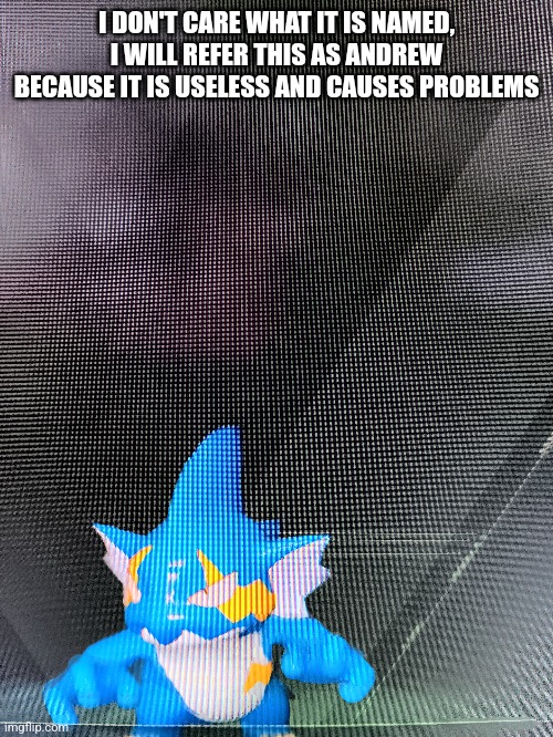I DON'T CARE WHAT IT IS NAMED, I WILL REFER THIS AS ANDREW BECAUSE IT IS USELESS AND CAUSES PROBLEMS | made w/ Imgflip meme maker