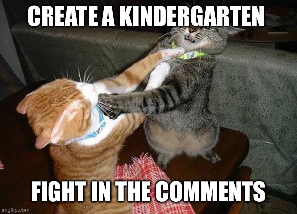 Idk what to name this | CREATE A KINDERGARTEN; FIGHT IN THE COMMENTS | image tagged in two cats fighting for real,kindergarten,fight,comments,lol | made w/ Imgflip meme maker