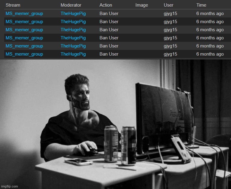image tagged in gigachad on the computer | made w/ Imgflip meme maker