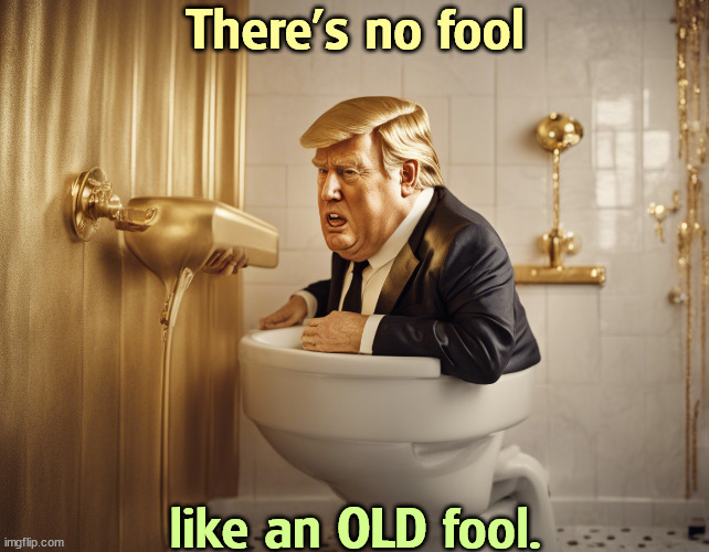 Weird | There's no fool; like an OLD fool. | image tagged in trump,fool,toilet,old,senile dementia,crazy | made w/ Imgflip meme maker