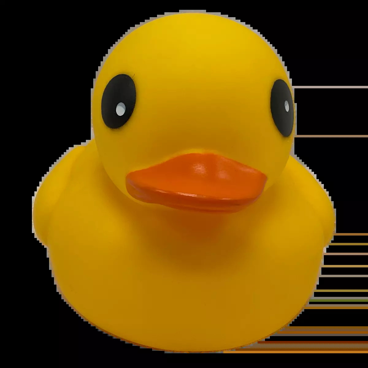 Rubber duck Blank Meme Template