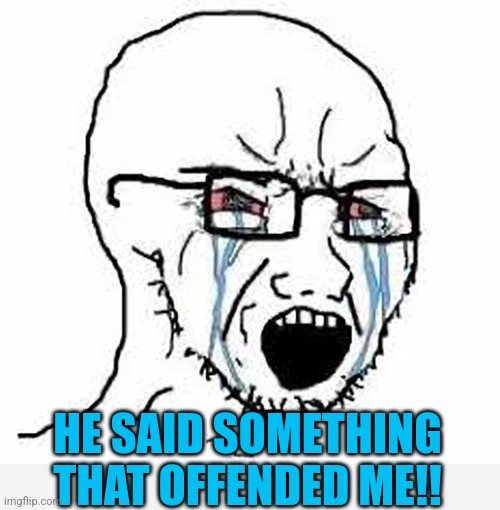 Crying Soyjack | HE SAID SOMETHING THAT OFFENDED ME!! | image tagged in crying soyjack | made w/ Imgflip meme maker