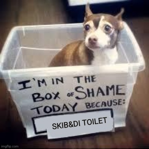 box of shame dog | SKIB&DI TOILET | image tagged in box of shame dog | made w/ Imgflip meme maker