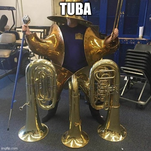 Tuba archmage | TUBA | image tagged in tuba archmage | made w/ Imgflip meme maker