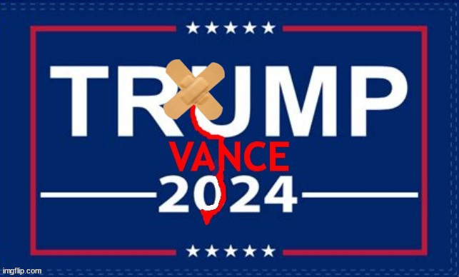 Stop the bleeding | image tagged in trump vance flag,maga misery,ear shot,ar-15 | made w/ Imgflip meme maker