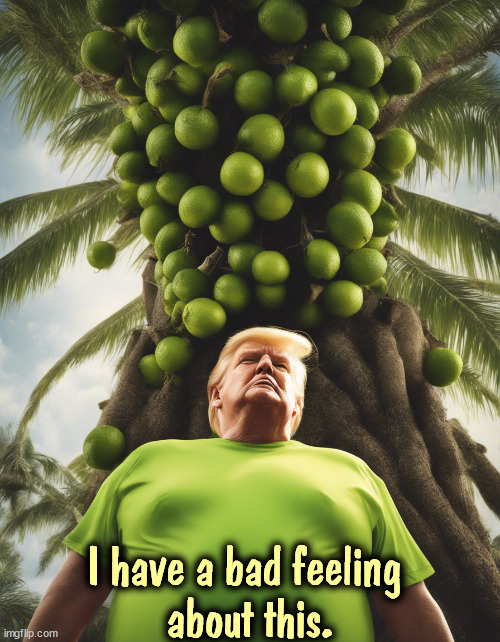 I have a bad feeling 
about this. | image tagged in kamala harris,cocoanut tree,trump,loser | made w/ Imgflip meme maker