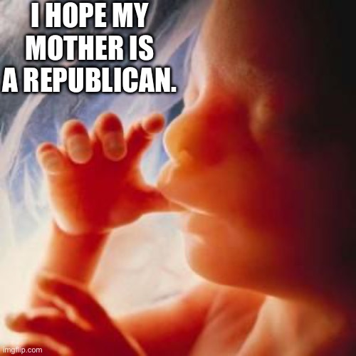 Fetus | I HOPE MY MOTHER IS A REPUBLICAN. | image tagged in fetus | made w/ Imgflip meme maker