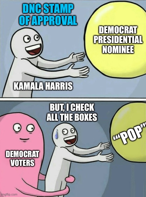 No law against DNC selecting candidate. | DNC STAMP OF APPROVAL; DEMOCRAT PRESIDENTIAL NOMINEE; KAMALA HARRIS; BUT, I CHECK ALL THE BOXES; “‘POP”’; DEMOCRAT VOTERS | image tagged in memes,running away balloon | made w/ Imgflip meme maker