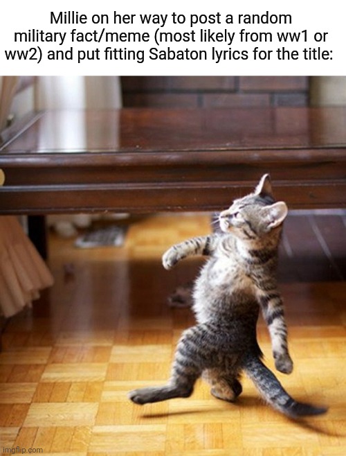 Self slander | Millie on her way to post a random military fact/meme (most likely from ww1 or ww2) and put fitting Sabaton lyrics for the title: | image tagged in cat walking like a boss | made w/ Imgflip meme maker