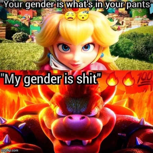 Shitgender/shitsexual | made w/ Imgflip meme maker