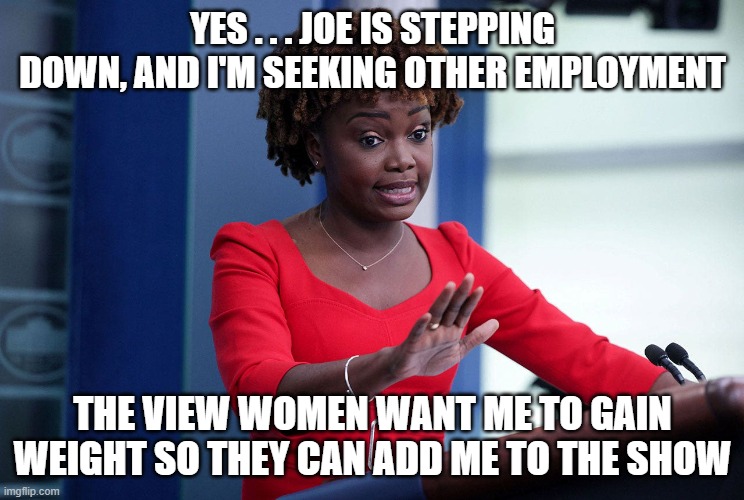Karine Jean-Pierre Deflects | YES . . . JOE IS STEPPING DOWN, AND I'M SEEKING OTHER EMPLOYMENT; THE VIEW WOMEN WANT ME TO GAIN WEIGHT SO THEY CAN ADD ME TO THE SHOW | image tagged in karine jean-pierre deflects,the view | made w/ Imgflip meme maker