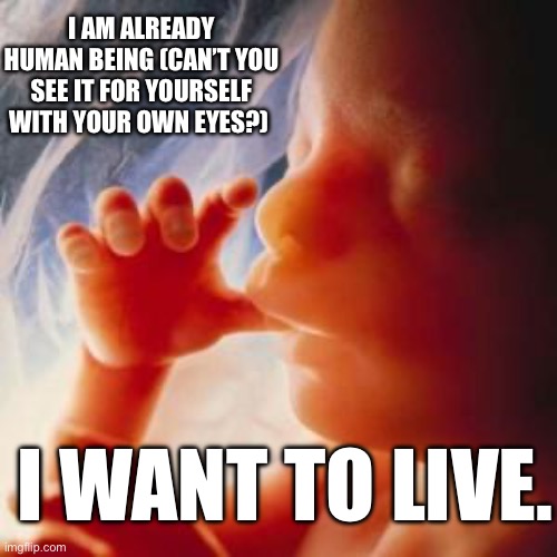 Fetus | I AM ALREADY HUMAN BEING (CAN’T YOU SEE IT FOR YOURSELF WITH YOUR OWN EYES?) I WANT TO LIVE. | image tagged in fetus | made w/ Imgflip meme maker