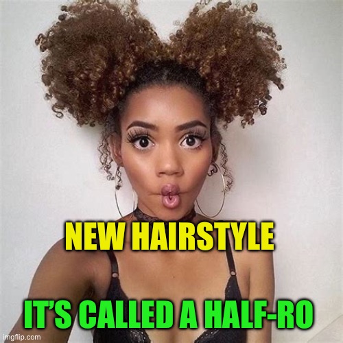 Do you like my “half-ro”? | NEW HAIRSTYLE; IT’S CALLED A HALF-RO | image tagged in gifs,fun,funny,hair,afro | made w/ Imgflip meme maker