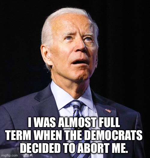 Abortion on demand… | I WAS ALMOST FULL TERM WHEN THE DEMOCRATS DECIDED TO ABORT ME. | image tagged in joe biden,aborted | made w/ Imgflip meme maker
