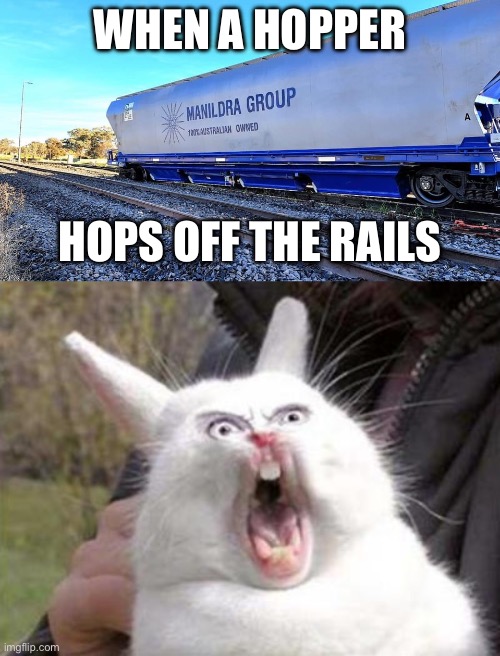 Hop along | WHEN A HOPPER; HOPS OFF THE RAILS | image tagged in angry rabbit,ihop | made w/ Imgflip meme maker