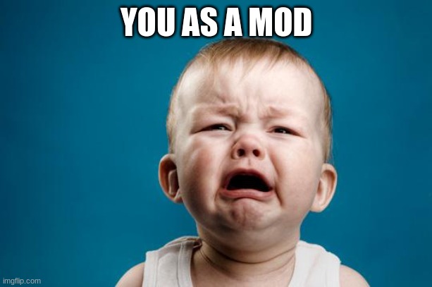 BABY CRYING | YOU AS A MOD | image tagged in baby crying | made w/ Imgflip meme maker