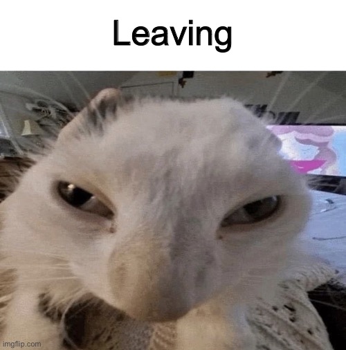 Pluh cat | Leaving | made w/ Imgflip meme maker