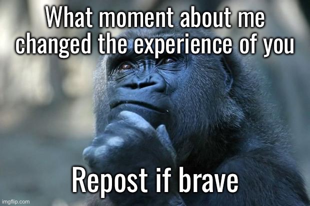 Deep Thoughts | What moment about me changed the experience of you; Repost if brave | image tagged in deep thoughts | made w/ Imgflip meme maker