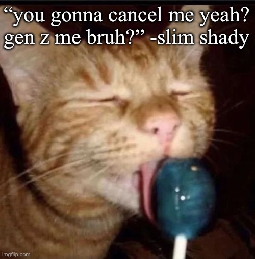 silly goober 2 | “you gonna cancel me yeah? gen z me bruh?” -slim shady | image tagged in silly goober 2 | made w/ Imgflip meme maker