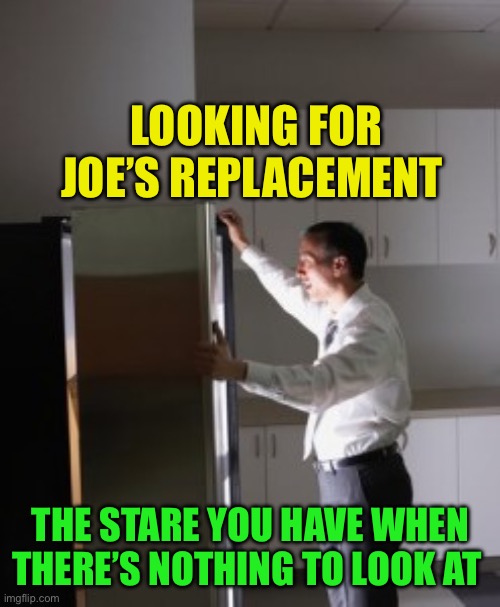 The Fridge is empty | LOOKING FOR JOE’S REPLACEMENT; THE STARE YOU HAVE WHEN THERE’S NOTHING TO LOOK AT | image tagged in fridge stare,democrats,biden,president | made w/ Imgflip meme maker