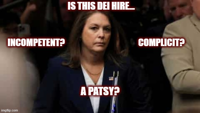 Hmmm... Hard To Choose Just One | IS THIS DEI HIRE... INCOMPETENT? COMPLICIT? A PATSY? | image tagged in cheatle,secret service,politics,american politics,save america,maga | made w/ Imgflip meme maker