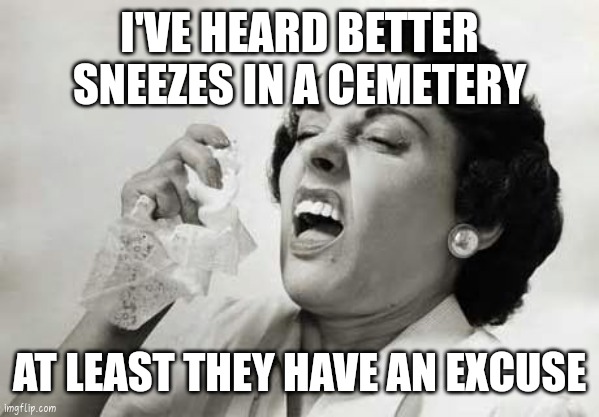 Sneeze darkest humor | I'VE HEARD BETTER SNEEZES IN A CEMETERY; AT LEAST THEY HAVE AN EXCUSE | image tagged in sneezing | made w/ Imgflip meme maker
