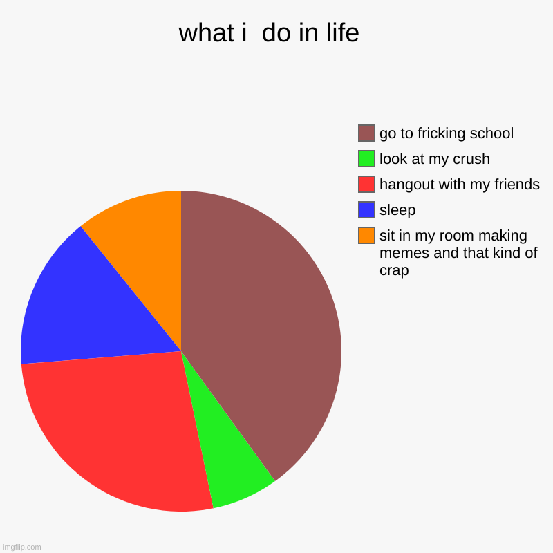 what i  do in life  | sit in my room making memes and that kind of crap, sleep, hangout with my friends, look at my crush, go to fricking sc | image tagged in charts,pie charts | made w/ Imgflip chart maker