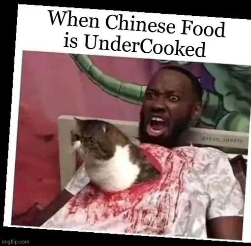 This Food was Very Rare! | When Chinese Food
is UnderCooked | image tagged in vince vance,alien,memes,chinese food,cats,ancient aliens | made w/ Imgflip meme maker