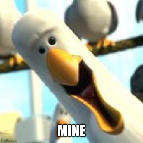 Mine Birds | MINE | image tagged in mine birds | made w/ Imgflip meme maker