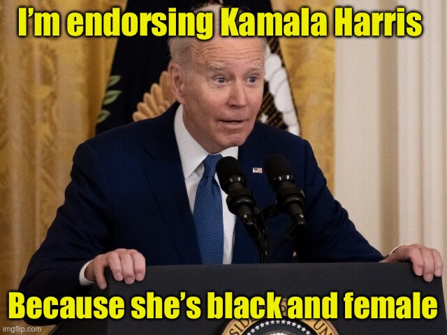 The only two qualifications Biden ever requires | I’m endorsing Kamala Harris; Because she’s black and female | image tagged in confused joe biden podium | made w/ Imgflip meme maker