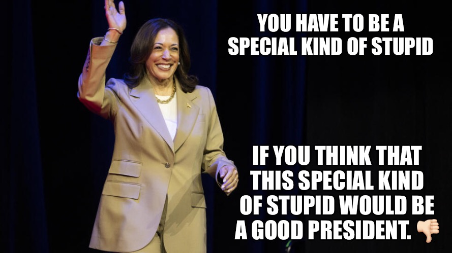 Stupid | YOU HAVE TO BE A SPECIAL KIND OF STUPID; IF YOU THINK THAT THIS SPECIAL KIND OF STUPID WOULD BE A GOOD PRESIDENT. 👎🏻 | image tagged in stupid | made w/ Imgflip meme maker