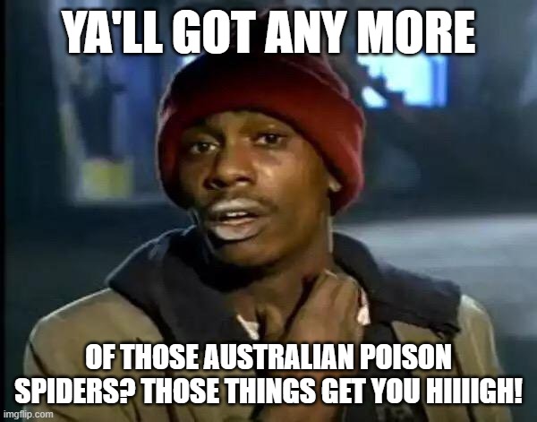 When people get a little too creative on how to deal with inasive animals. | YA'LL GOT ANY MORE; OF THOSE AUSTRALIAN POISON SPIDERS? THOSE THINGS GET YOU HIIIIGH! | image tagged in memes,y'all got any more of that,invasive animals,spiders,australia | made w/ Imgflip meme maker