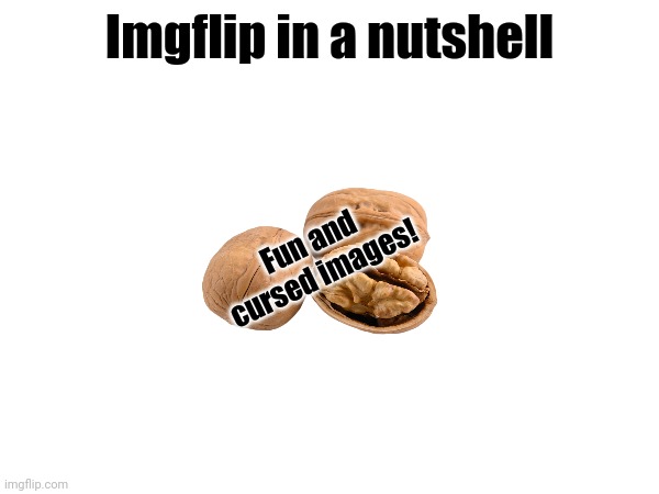 Imgflip in a nutshell | Imgflip in a nutshell; Fun and cursed images! | image tagged in imgflip,has,some,streams with,cursed images | made w/ Imgflip meme maker