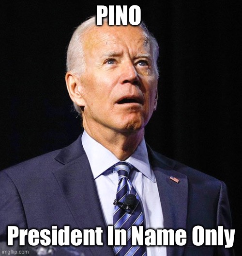 Joe Biden | PINO President In Name Only | image tagged in joe biden | made w/ Imgflip meme maker