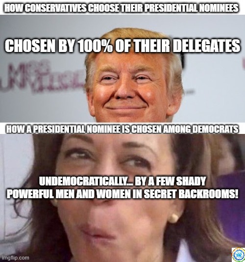 politics | UNDEMOCRATICALLY... BY A FEW SHADY POWERFUL MEN AND WOMEN IN SECRET BACKROOMS! | image tagged in political meme | made w/ Imgflip meme maker