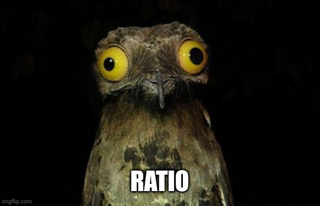 Weird Stuff I Do Potoo Meme | RATIO | image tagged in memes,weird stuff i do potoo | made w/ Imgflip meme maker