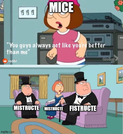 You Guys always act like you're better than me | MICE; FISTRUCTE; MISTRUCTE; MISTRUCTE | image tagged in you guys always act like you're better than me | made w/ Imgflip meme maker