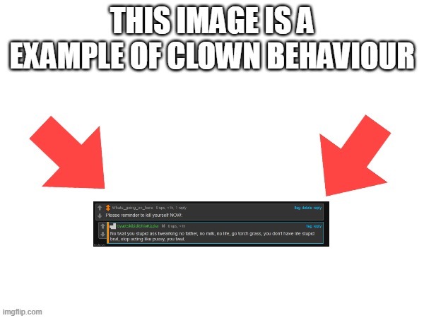 bro made a meme on me, he aint skibidi sigma rizzler | image tagged in this image is a example of clown behaviour | made w/ Imgflip meme maker