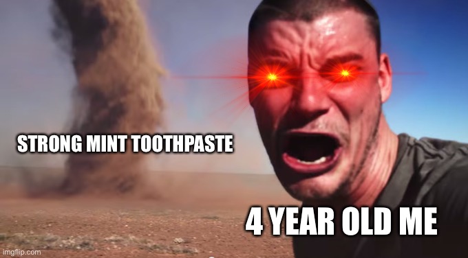 Damn mint toothpaste | STRONG MINT TOOTHPASTE; 4 YEAR OLD ME | image tagged in tornado selfie | made w/ Imgflip meme maker